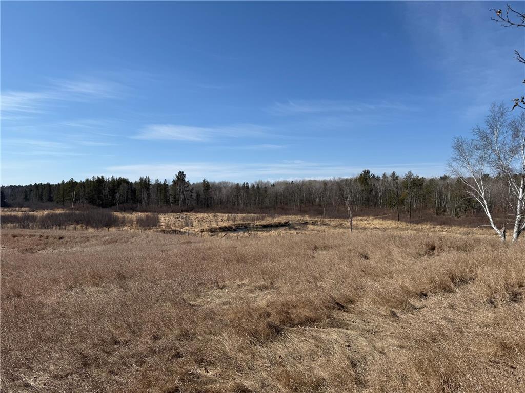 xxx County Road 134 Timothy Twp MN 56474 7037741 image10