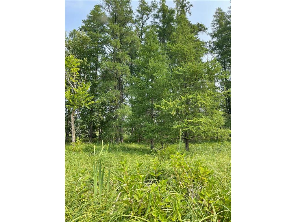 xxx County Road 2 Saint Wendel Twp MN 56310 6406174 image1