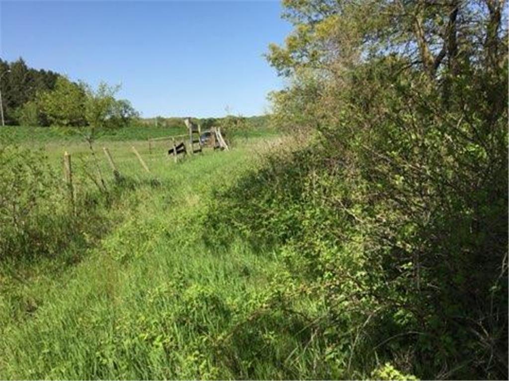 xxx County Road 24 & 63rd Ave Cannon Falls MN 55009 6820524 image3