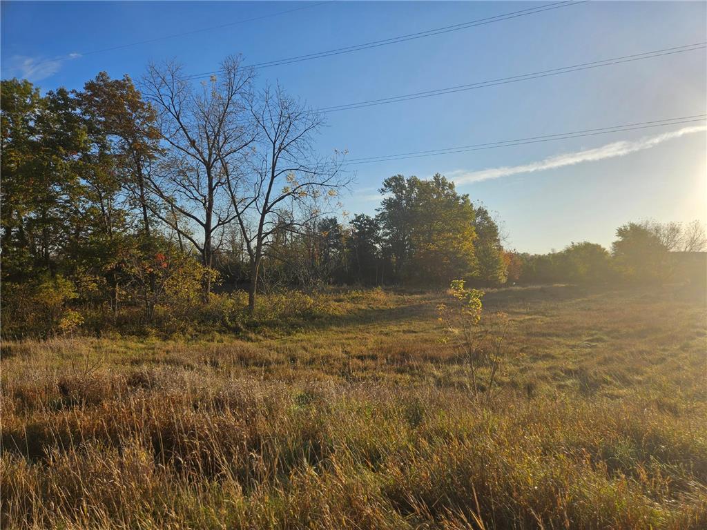 xxx County Road 24 & 63rd Ave Cannon Falls MN 55009 6820524 image5