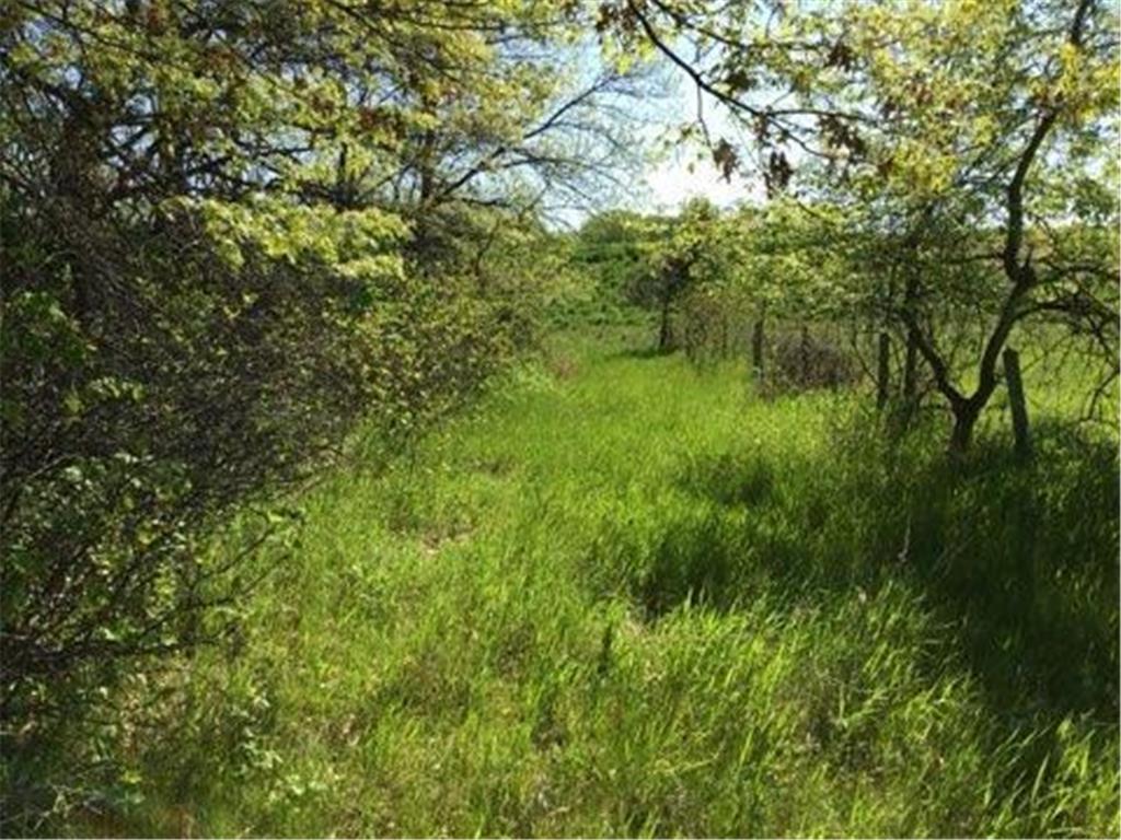 xxx County Road 24 & 63rd Ave Cannon Falls MN 55009 6820524 image9