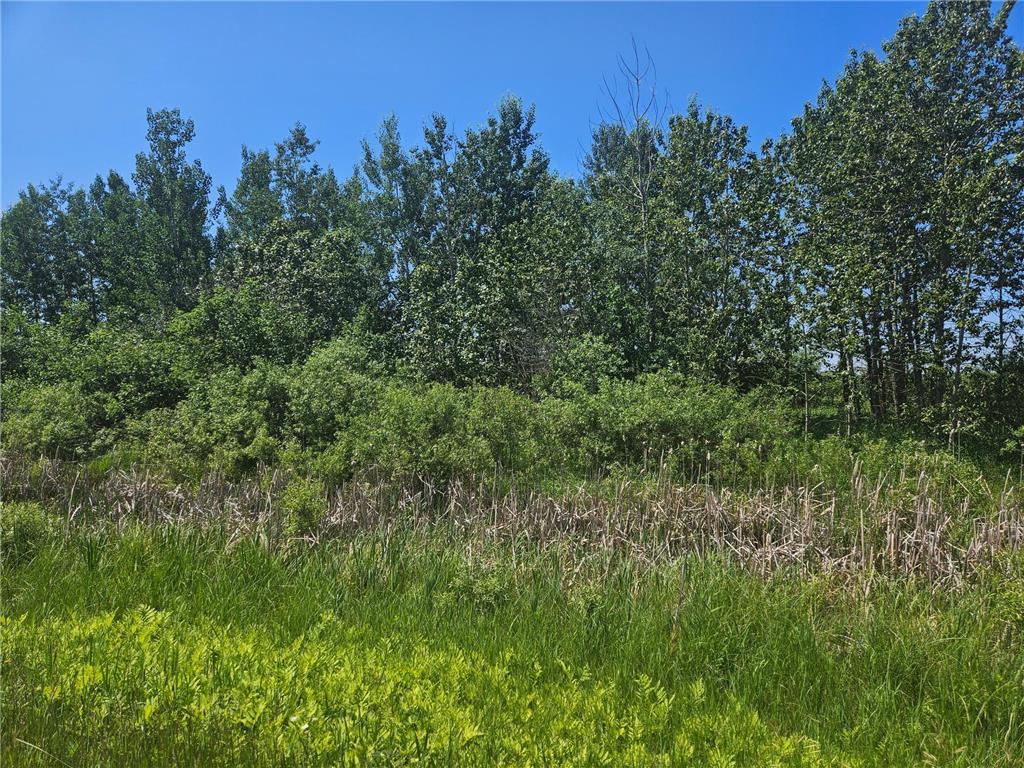 xxx County Road 32 Aitkin MN 56431 6759014 image1
