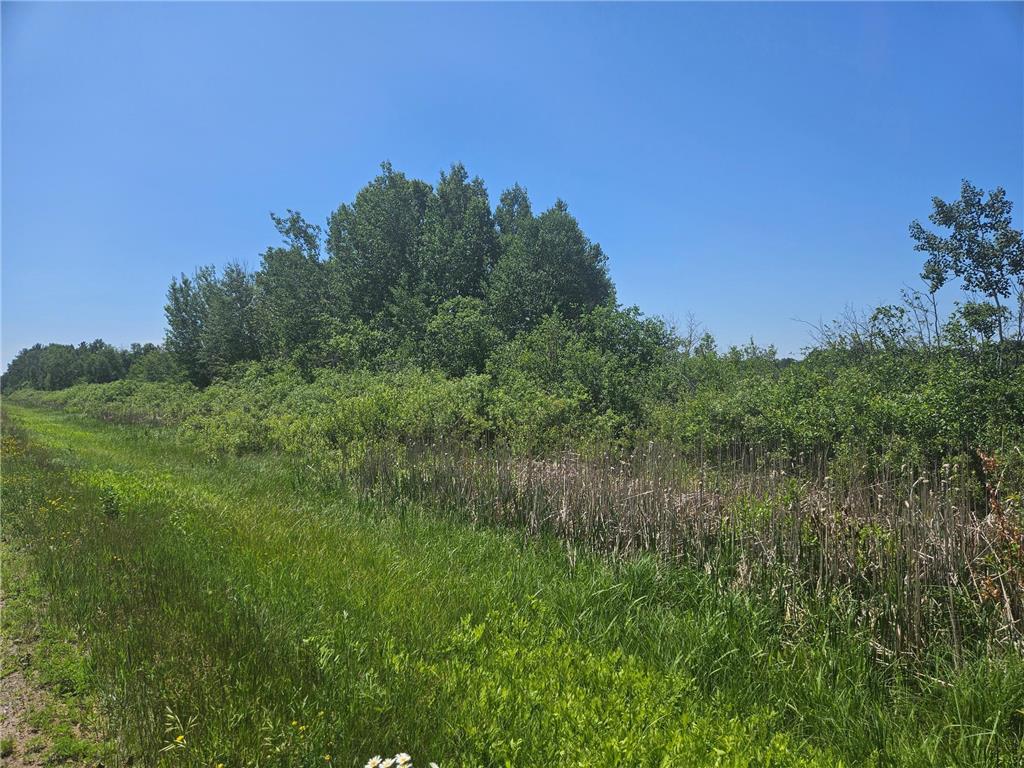 xxx County Road 32 Aitkin MN 56431 6759014 image2