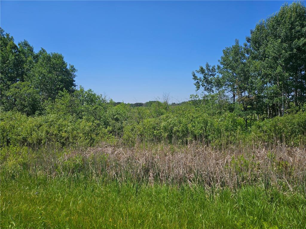 xxx County Road 32 Aitkin MN 56431 6759014 image4