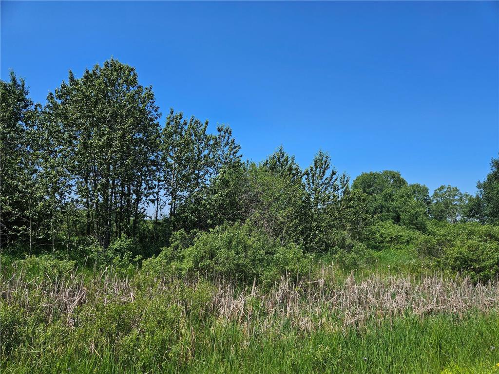 xxx County Road 32 Aitkin MN 56431 6759014 image5