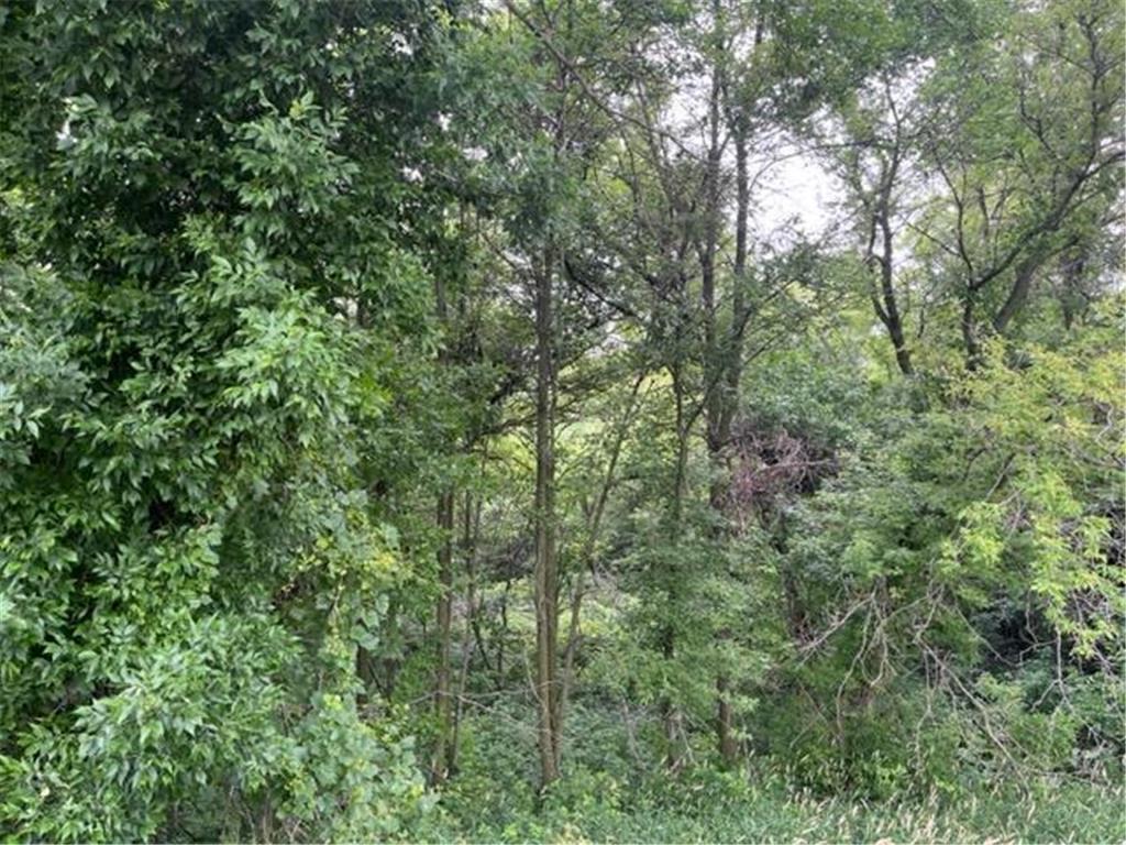 xxx County Road G Eureka Center WI 54858 6394227 image1