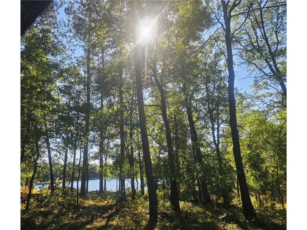 xxx County Road H Road Scott Twp WI 54830 6800458 image1