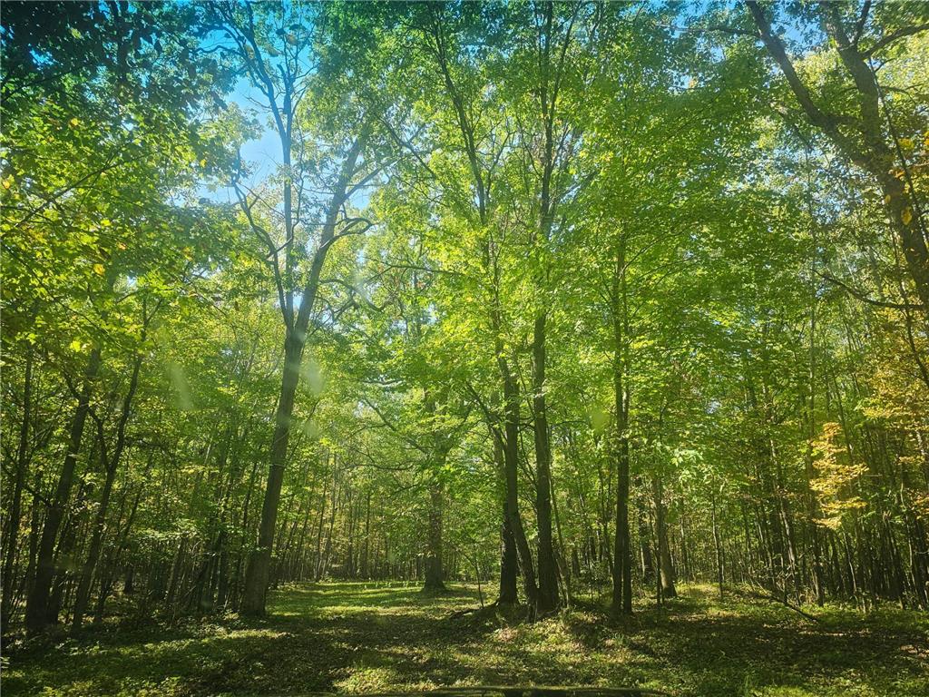 xxx County Road H Road Scott Twp WI 54830 6800458 image13