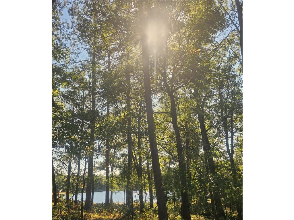 xxx County Road H Road Scott Twp WI 54830 6800458 image8