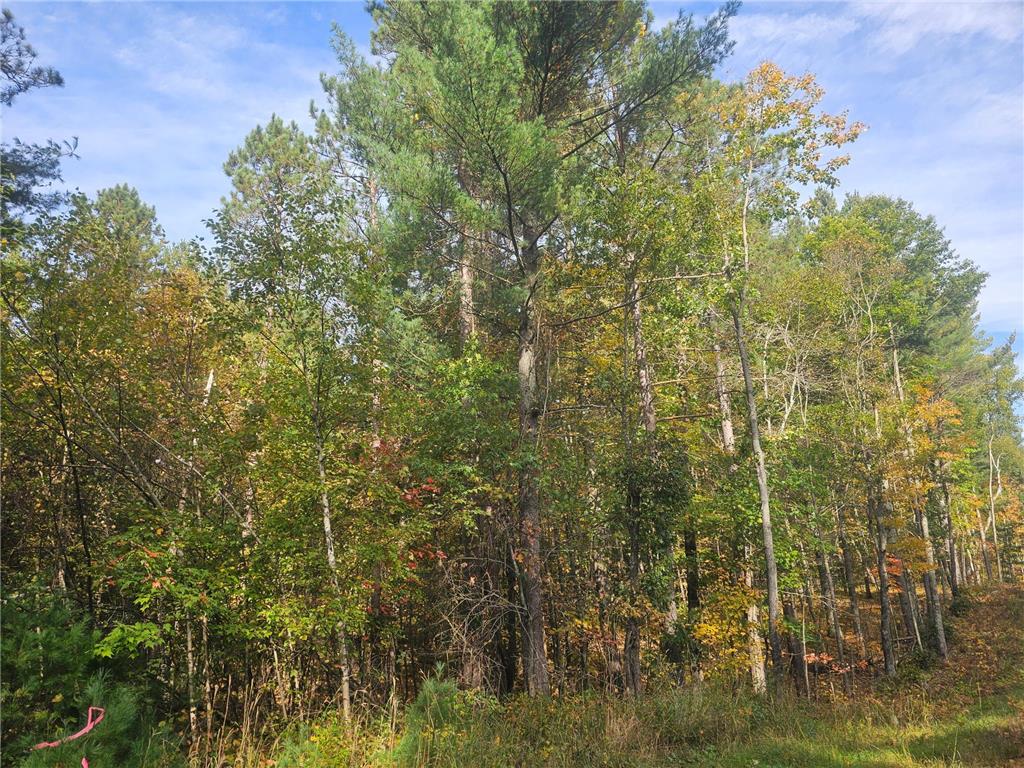 xxx County Road H Road Scott Twp WI 54830 7055180 image10
