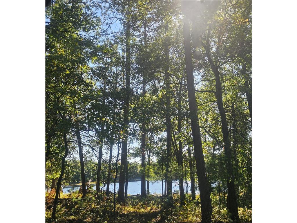 xxx County Road H Road Scott Twp WI 54830 7055180 image3