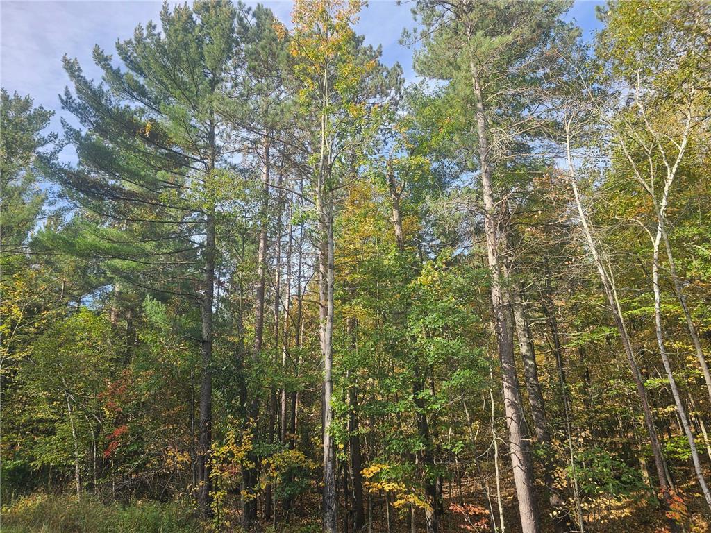 xxx County Road H Road Scott Twp WI 54830 7055180 image4