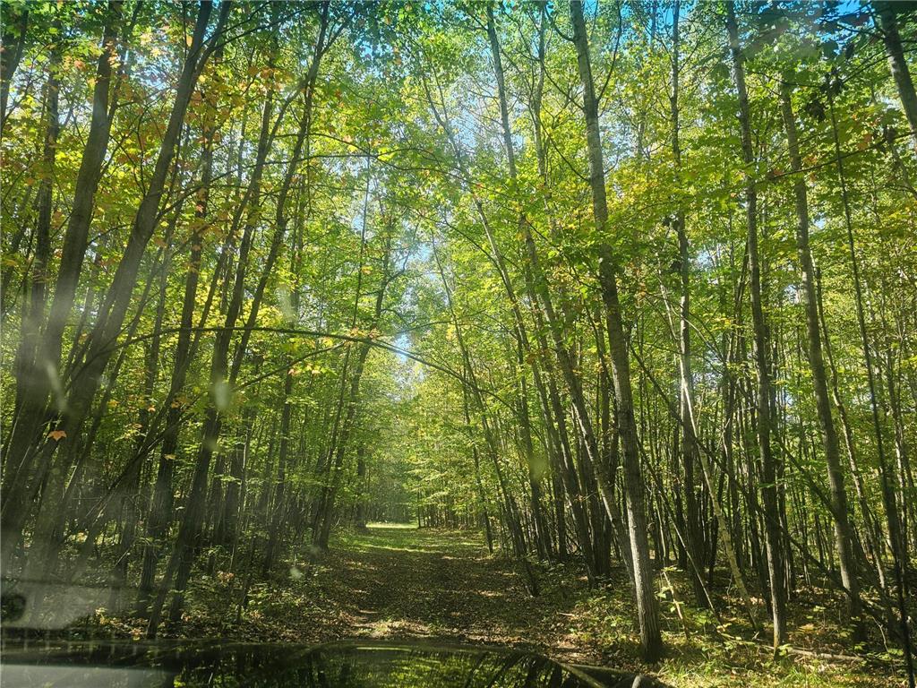 xxx County Road H Road Scott Twp WI 54830 7055180 image8