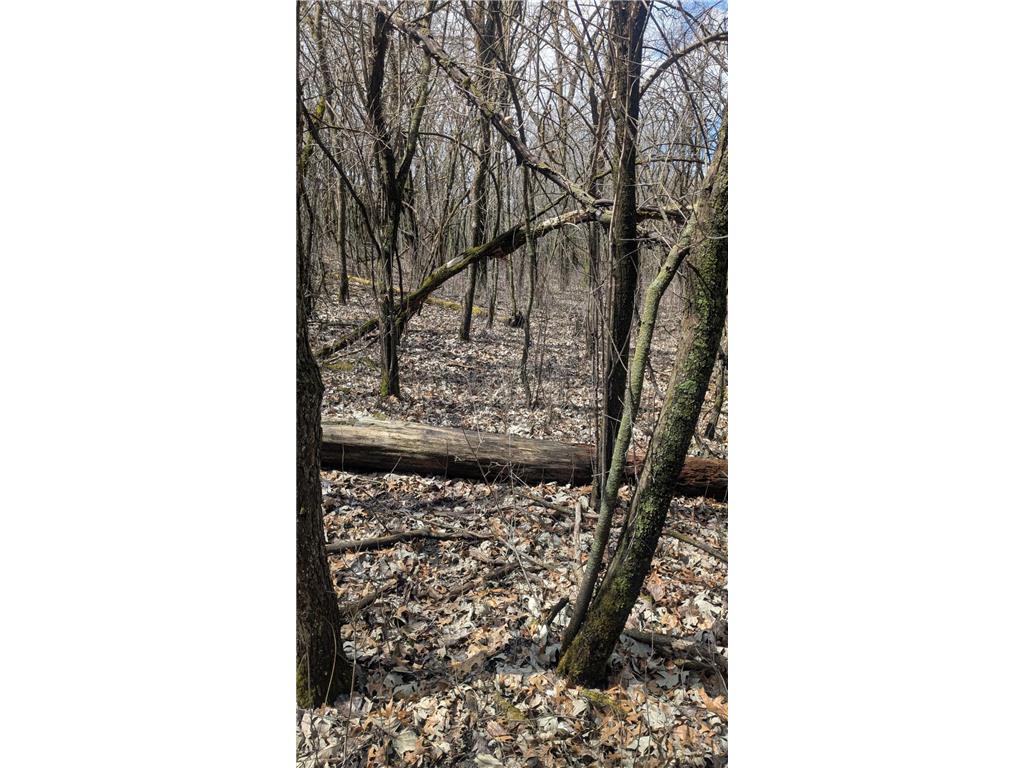 xxx Crosby Dr Hudson WI 54016 6711811 image3