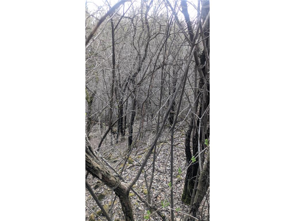 xxx Crosby Dr Hudson WI 54016 6711811 image7