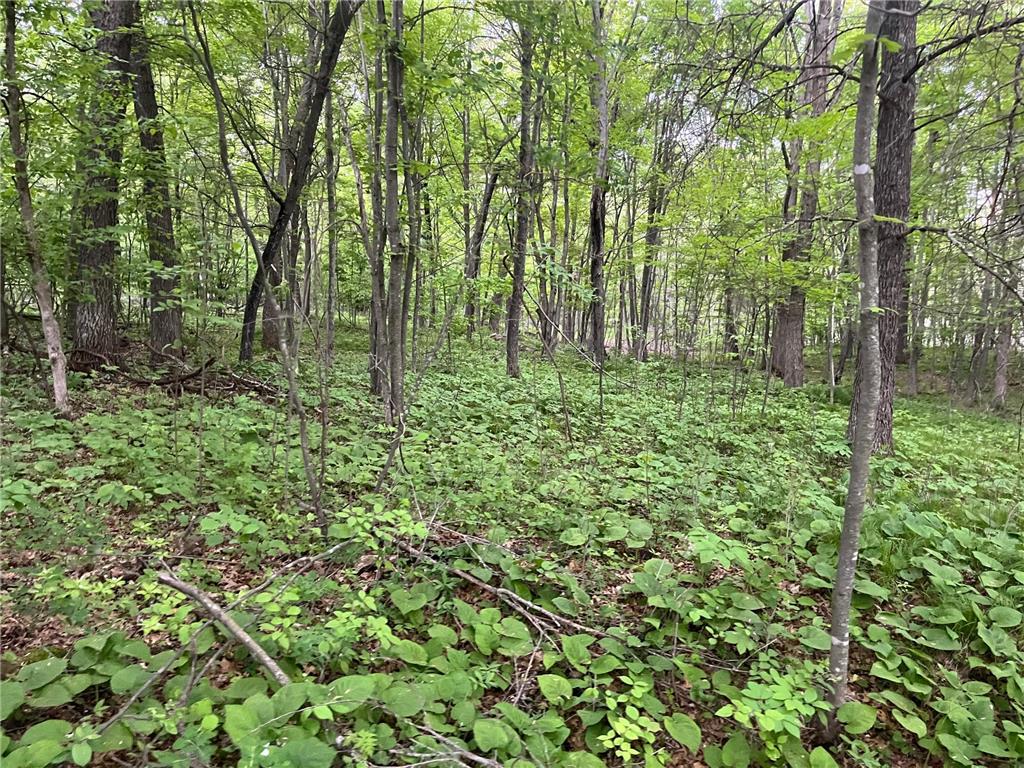 xxx Crust Road Brainerd MN 56401 6722596 image21