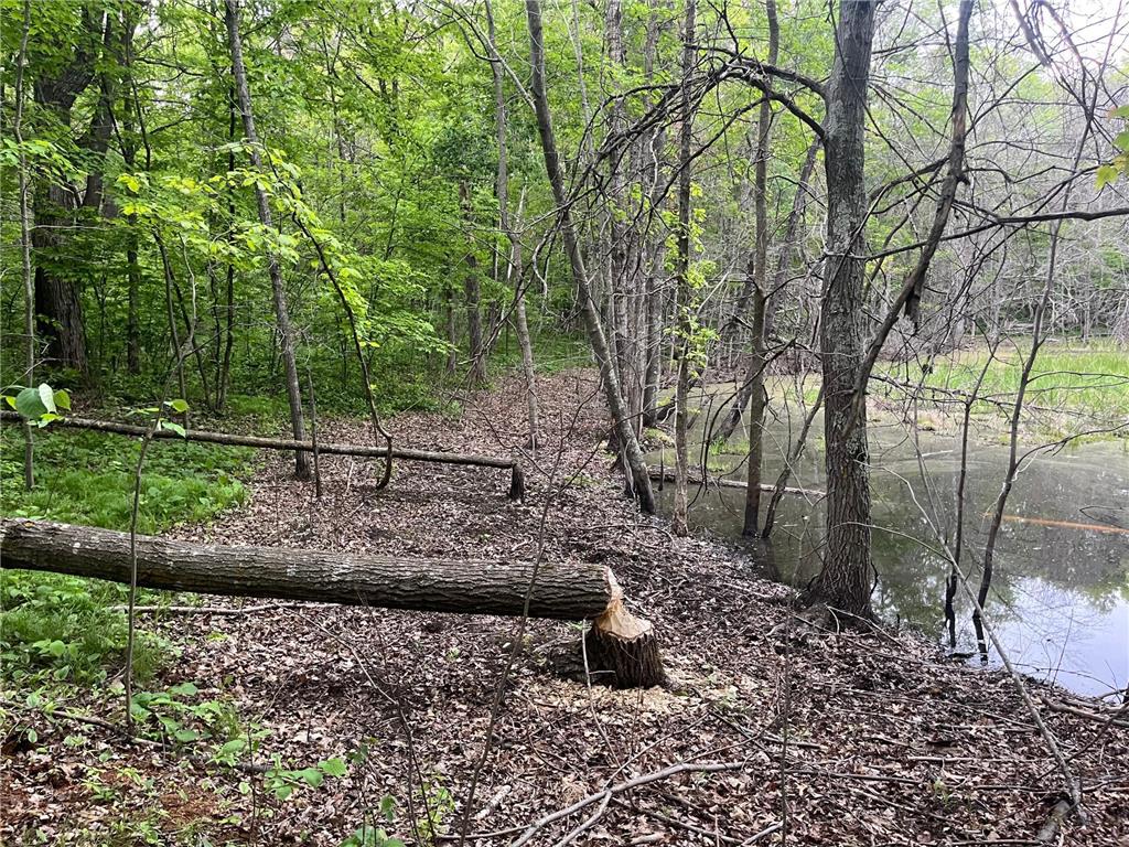 xxx Crust Road Brainerd MN 56401 6722596 image22