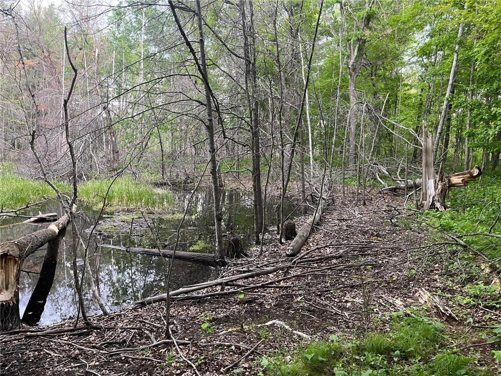 xxx Crust Road Brainerd MN 56401 6722596 image23