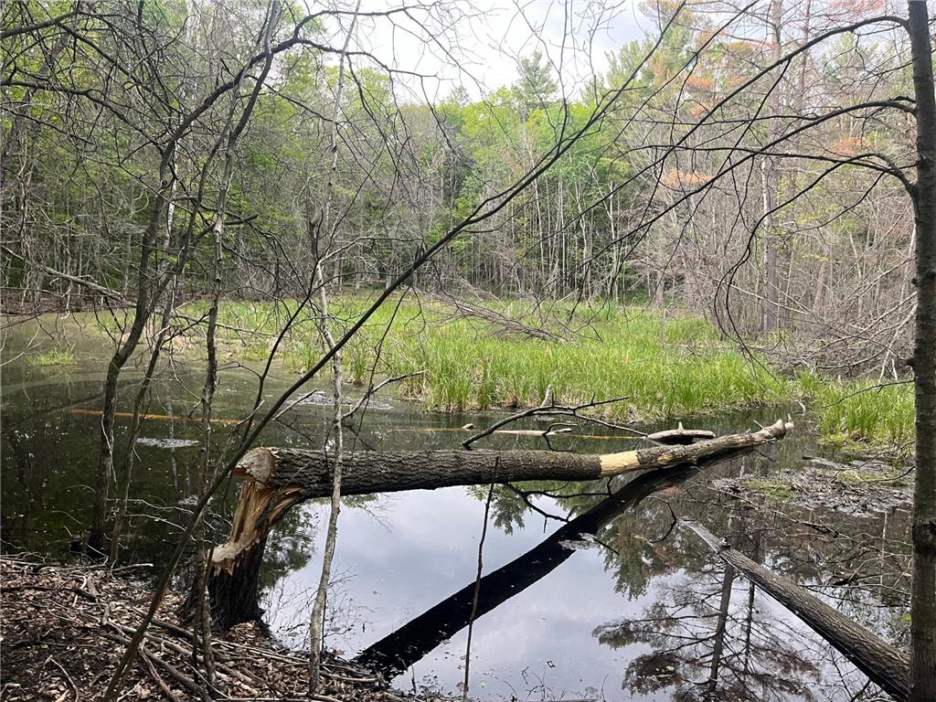 xxx Crust Road Brainerd MN 56401 6722596 image24