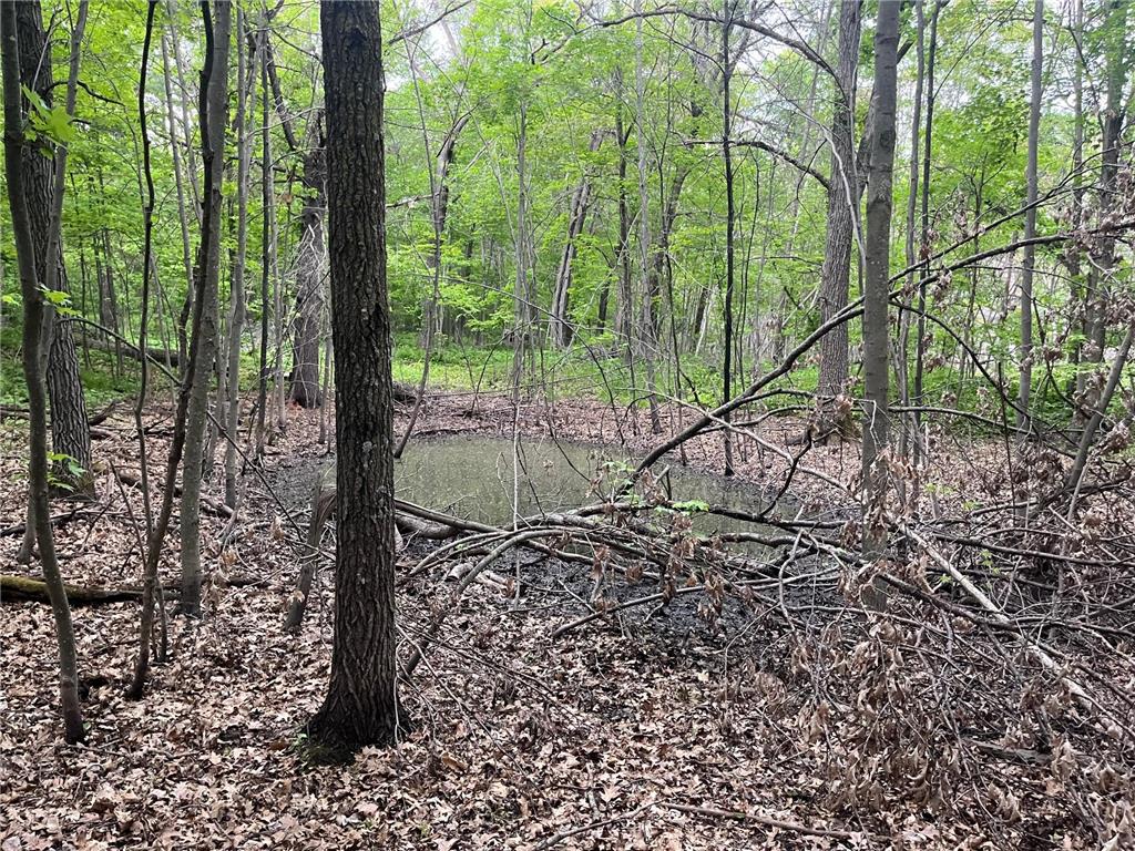 xxx Crust Road Brainerd MN 56401 6722596 image25