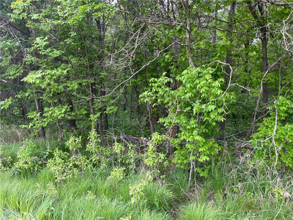 xxx Crust Road Brainerd MN 56401 6722596 image26