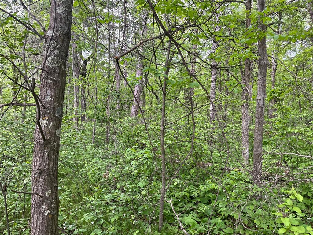 xxx Crust Road Brainerd MN 56401 6722596 image27