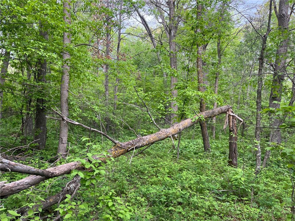 xxx Crust Road Brainerd MN 56401 6722596 image28