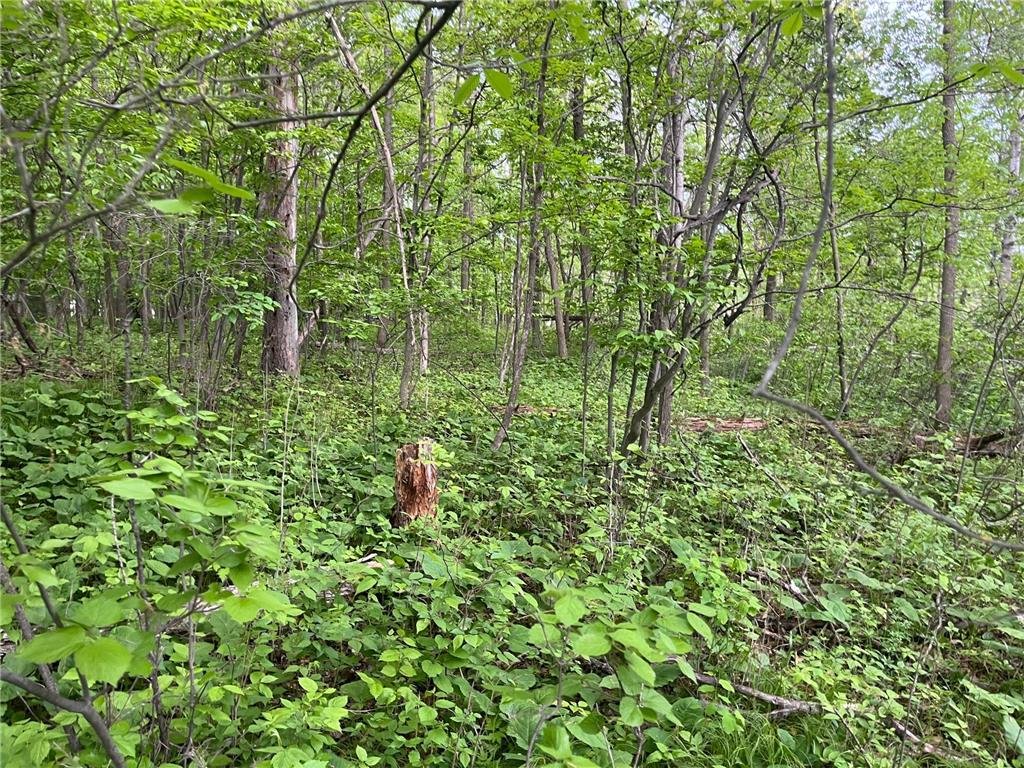 xxx Crust Road Brainerd MN 56401 6722596 image29