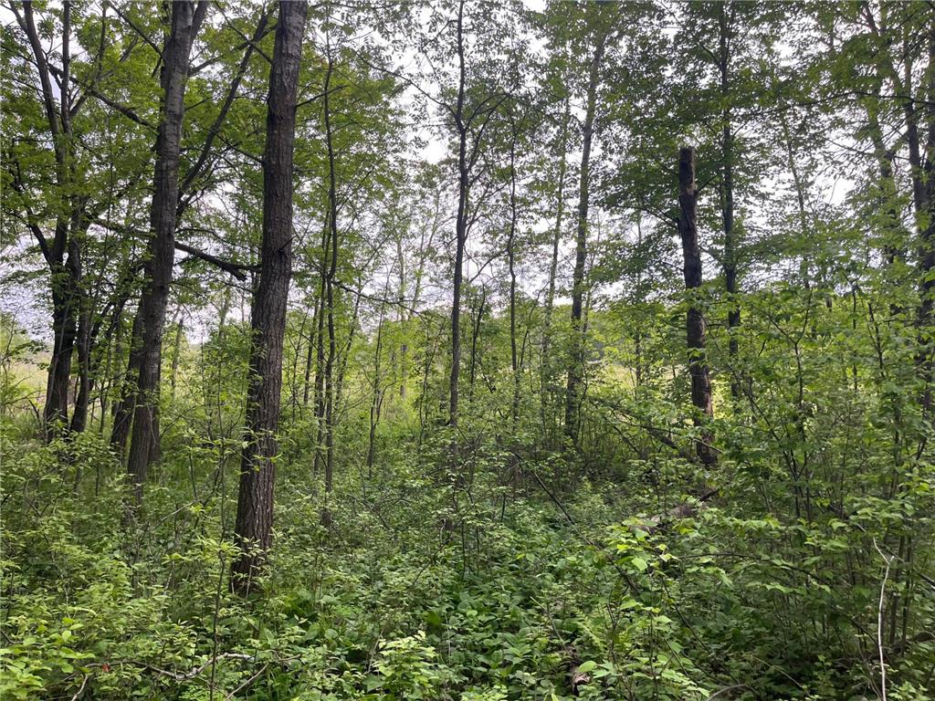 xxx Crust Road Brainerd MN 56401 6722596 image3