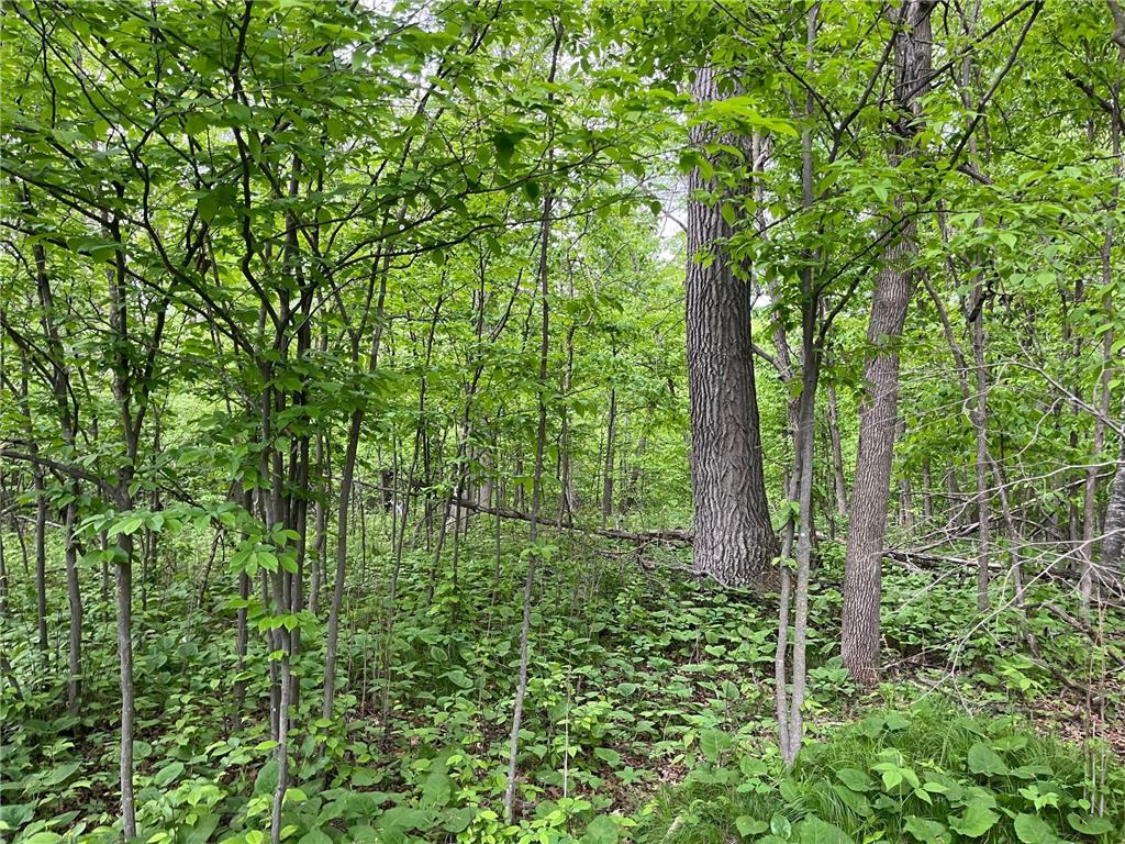 xxx Crust Road Brainerd MN 56401 6722596 image30