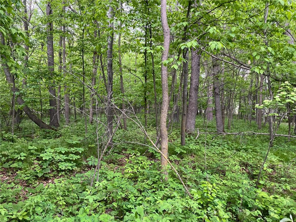 xxx Crust Road Brainerd MN 56401 6722596 image31