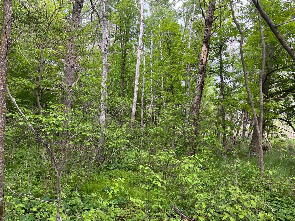 xxx Crust Road Brainerd MN 56401 6722596 image32