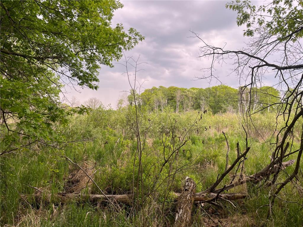 xxx Crust Road Brainerd MN 56401 6722596 image33