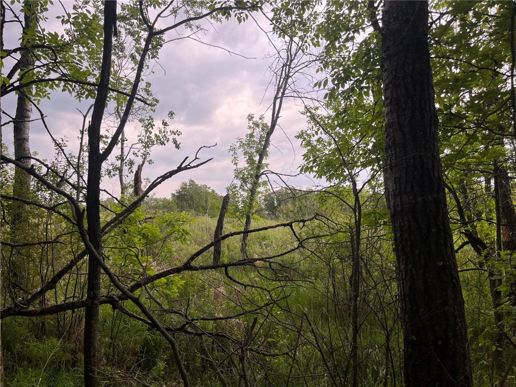 xxx Crust Road Brainerd MN 56401 6722596 image34