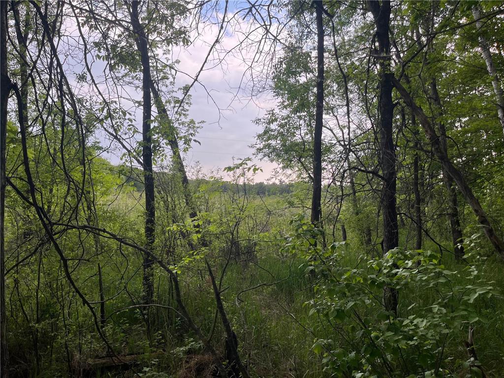 xxx Crust Road Brainerd MN 56401 6722596 image35