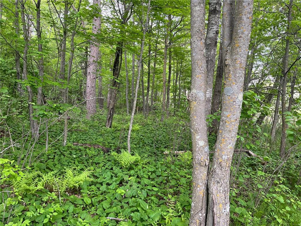 xxx Crust Road Brainerd MN 56401 6722596 image36