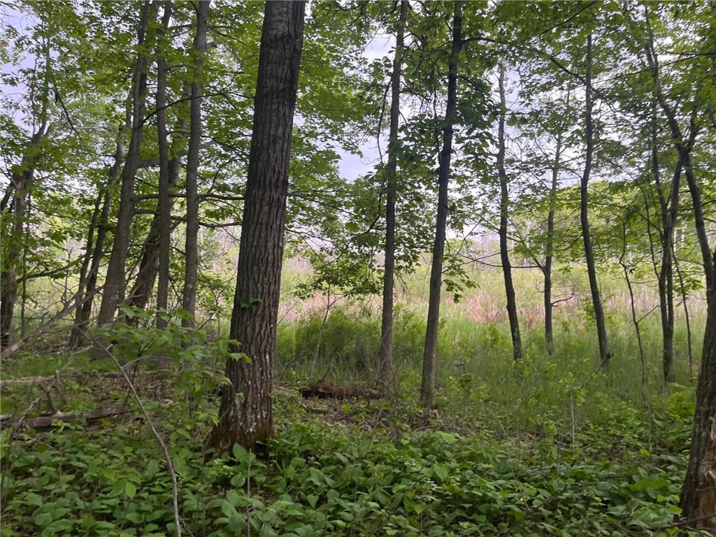 xxx Crust Road Brainerd MN 56401 6722596 image37