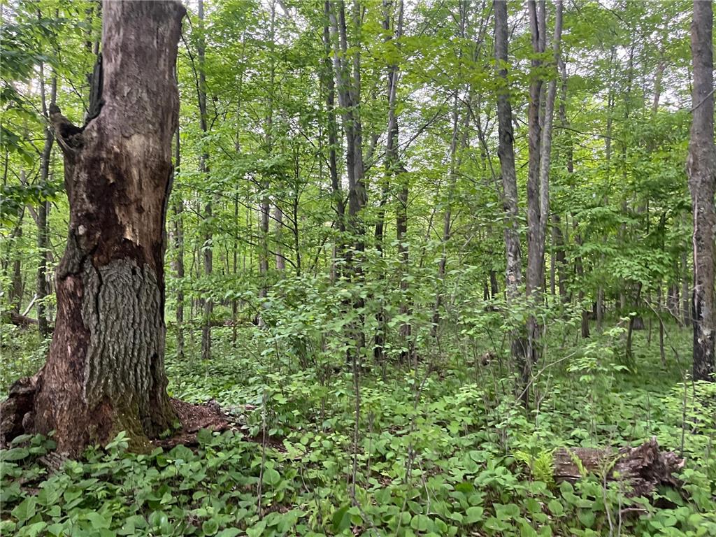 xxx Crust Road Brainerd MN 56401 6722596 image38