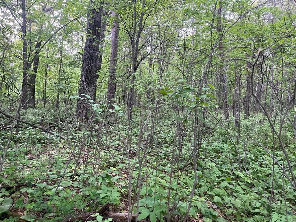 xxx Crust Road Brainerd MN 56401 6722596 image39