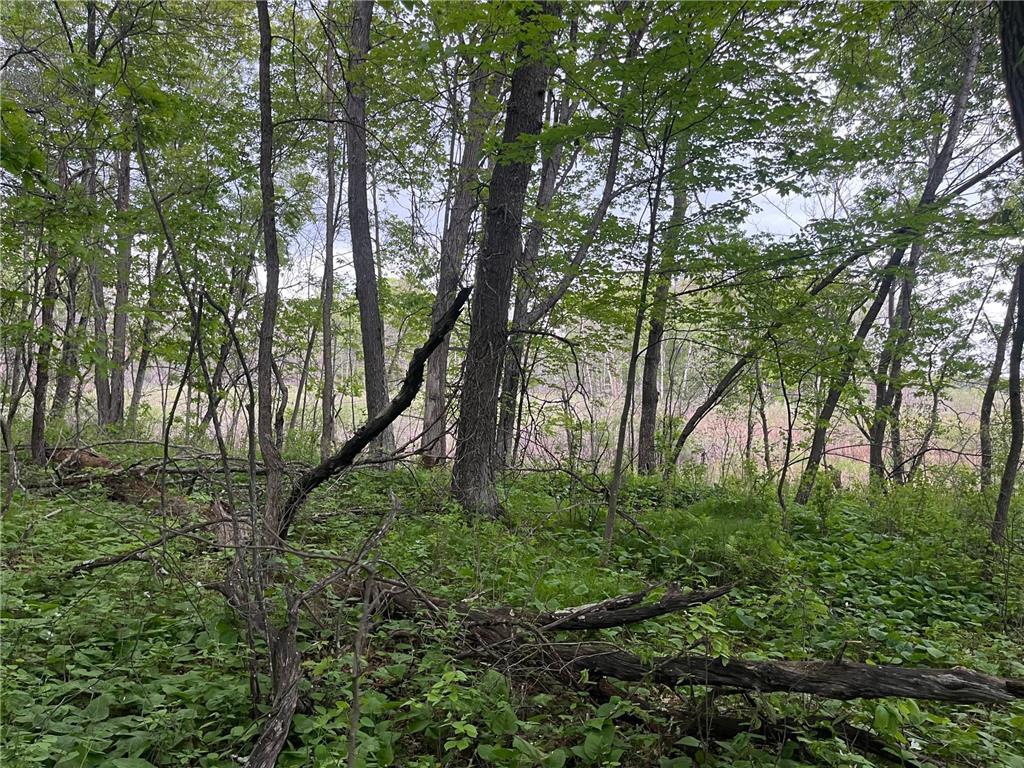 xxx Crust Road Brainerd MN 56401 6722596 image40