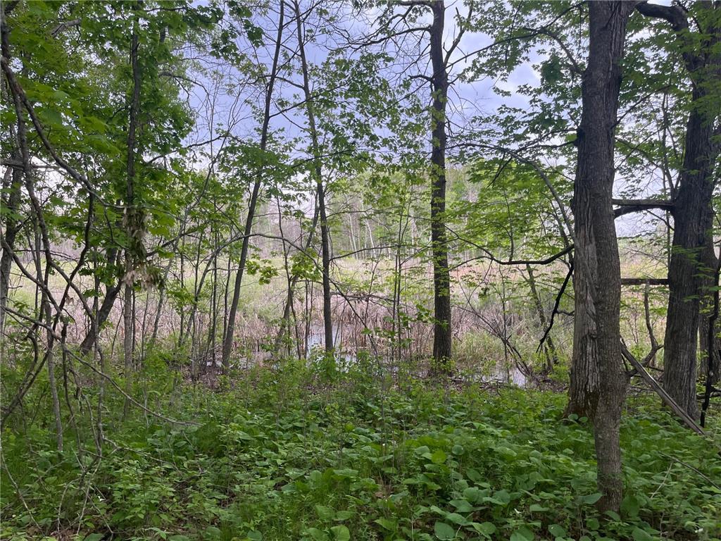 xxx Crust Road Brainerd MN 56401 6722596 image41