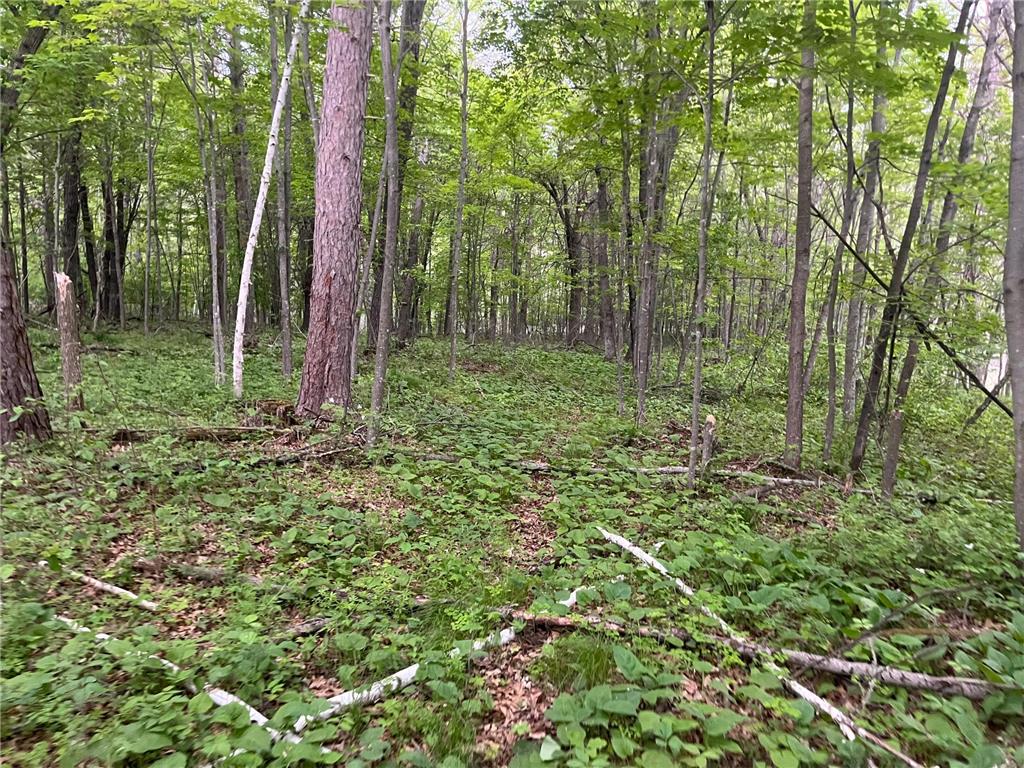 xxx Crust Road Brainerd MN 56401 6722596 image42