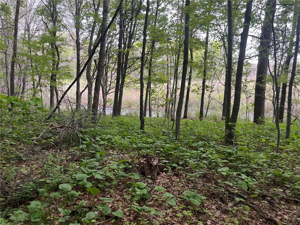 xxx Crust Road Brainerd MN 56401 6722596 image43