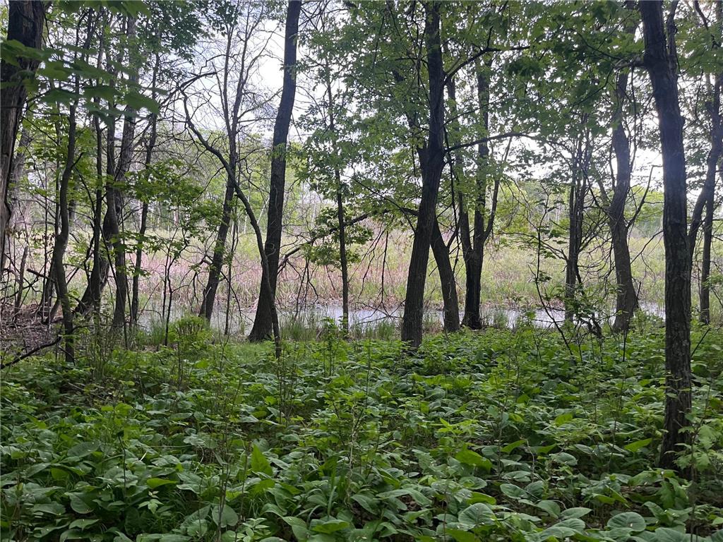 xxx Crust Road Brainerd MN 56401 6722596 image44