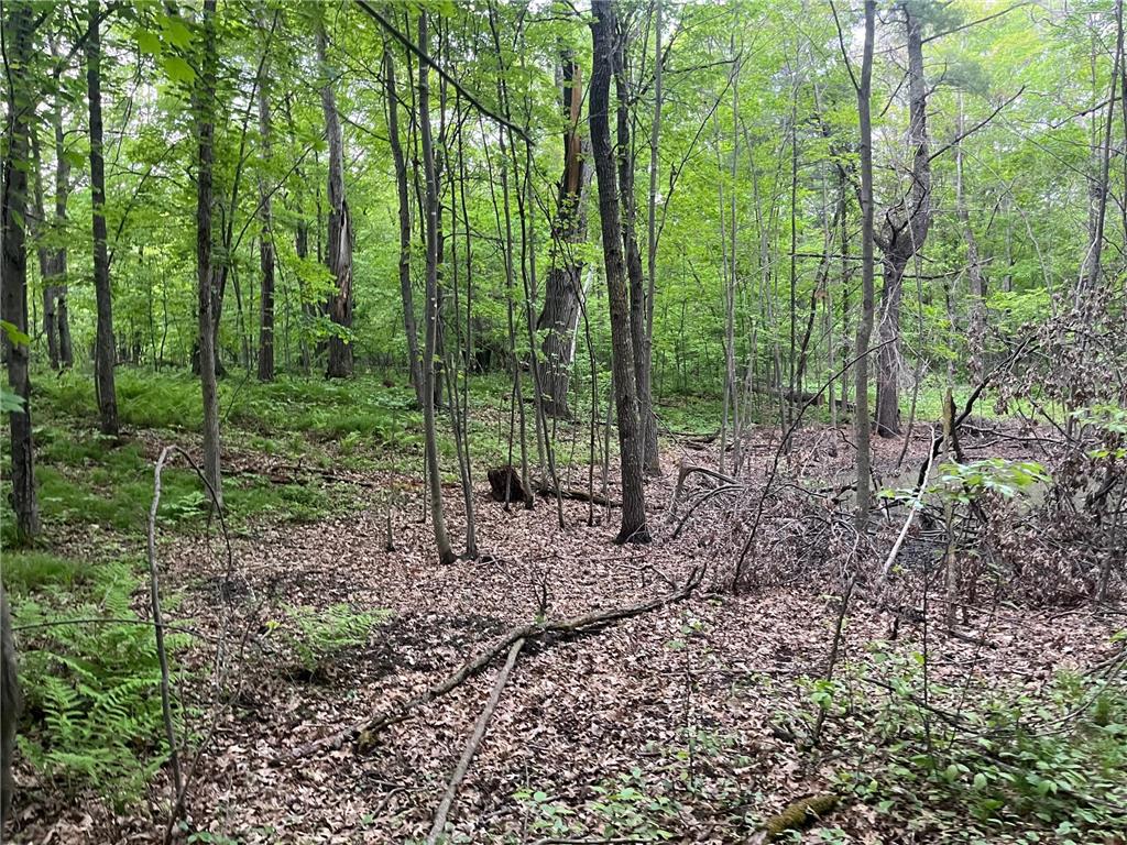 xxx Crust Road Brainerd MN 56401 6722596 image45