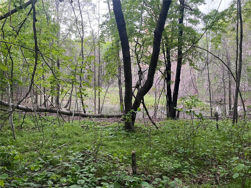 xxx Crust Road Brainerd MN 56401 6722596 image46