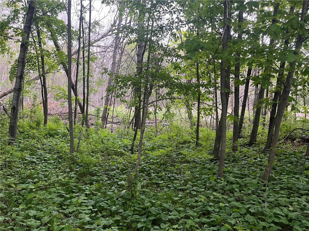 xxx Crust Road Brainerd MN 56401 6722596 image47