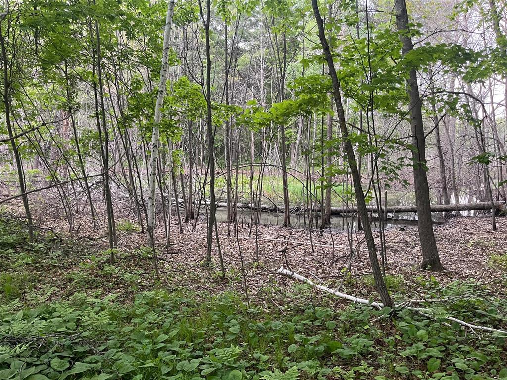 xxx Crust Road Brainerd MN 56401 6722596 image48