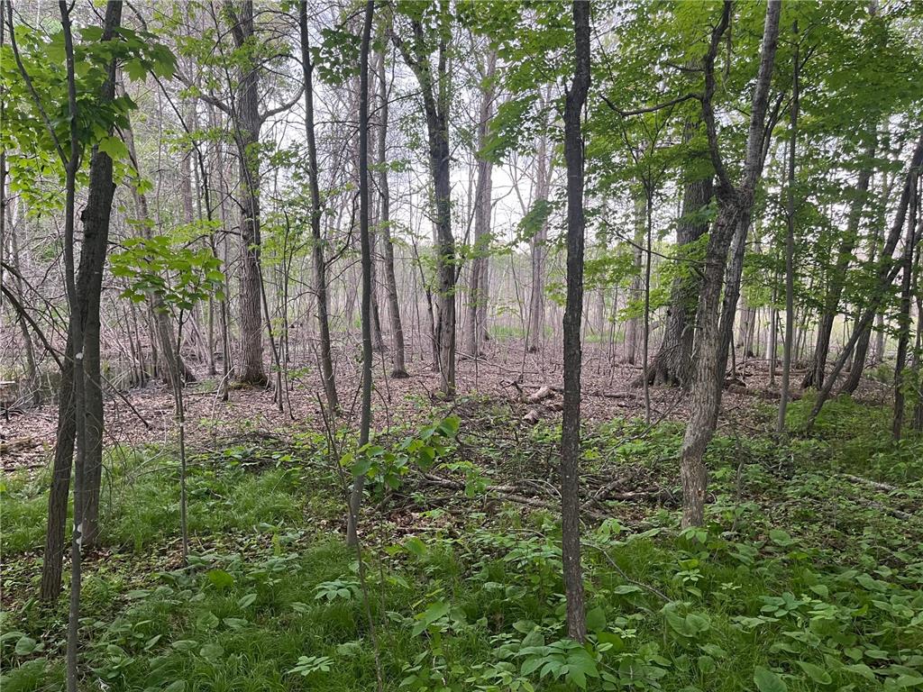 xxx Crust Road Brainerd MN 56401 6722596 image49