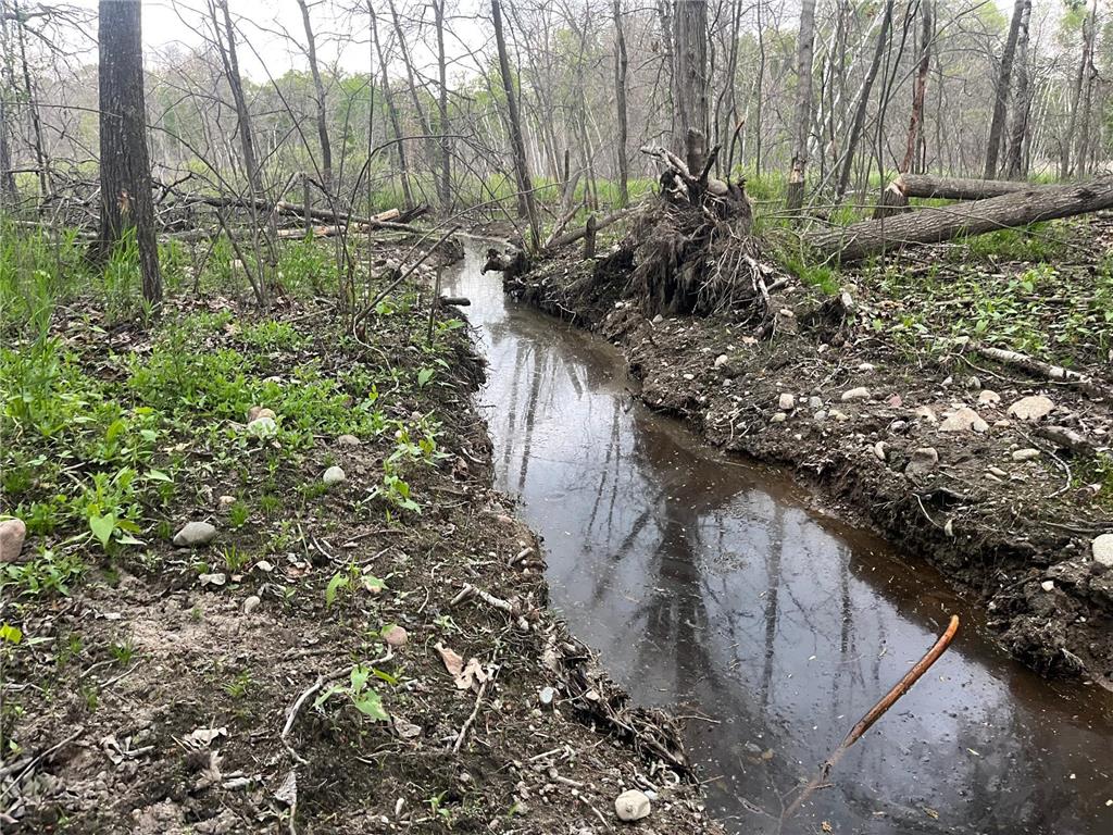 xxx Crust Road Brainerd MN 56401 6722596 image5